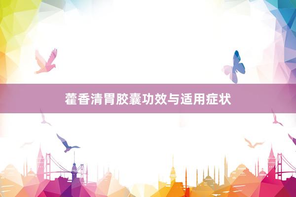 藿香清胃胶囊功效与适用症状